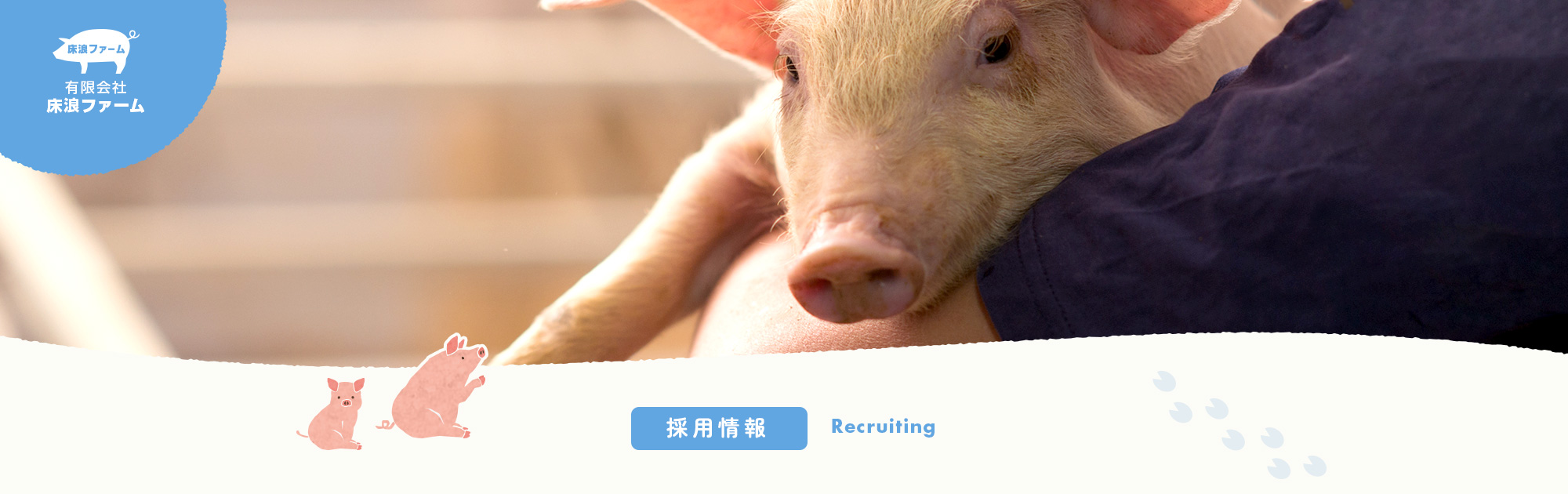採用情報